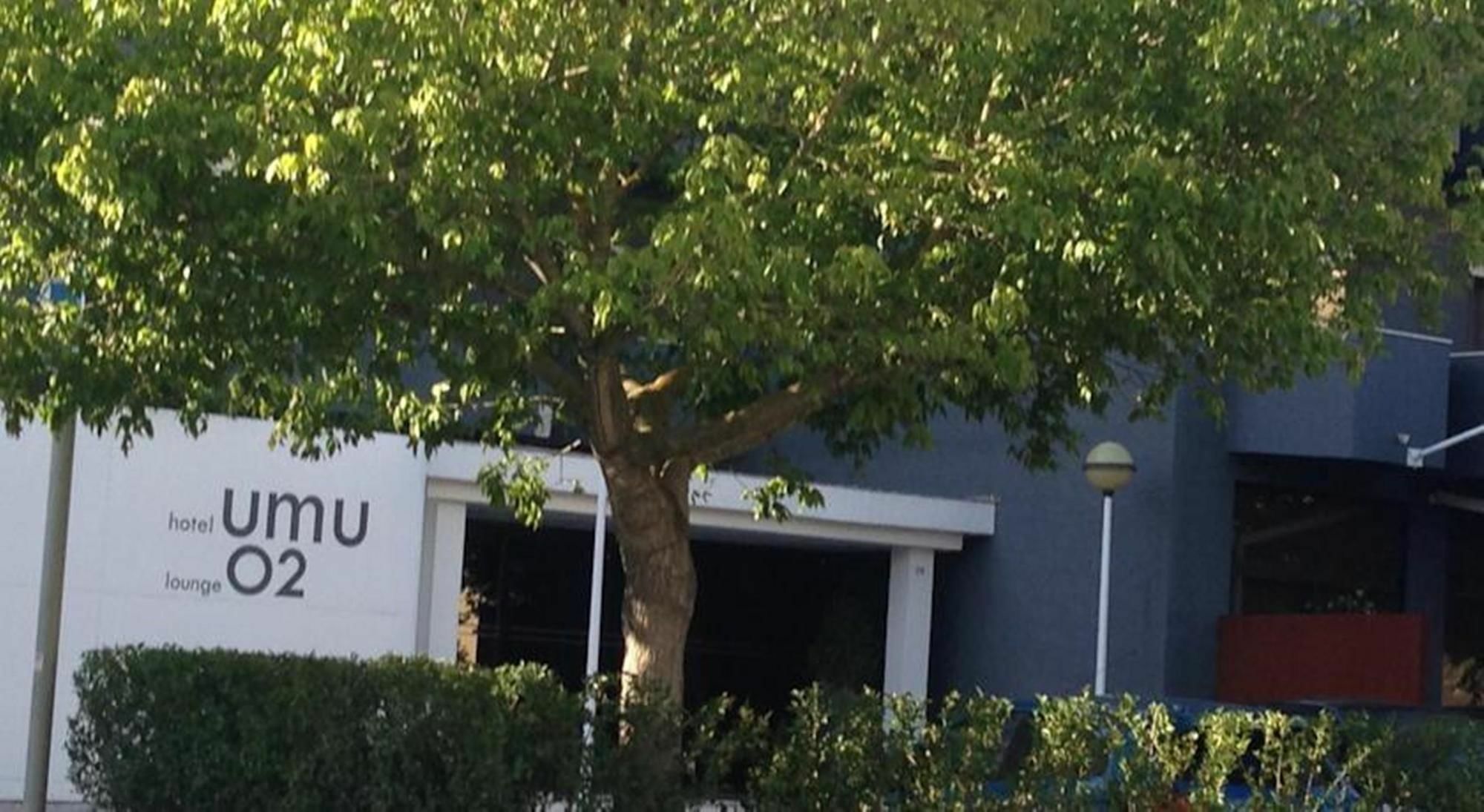 Hotel Umu Santarém Extérieur photo